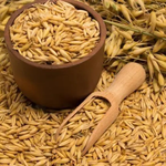 ‘귀리’ 먹었더니, 여성 갱년기에 생긴 변화 9가지