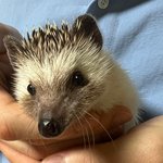 [TXT] 우리 오디 멤버 <b>삼촌</b>들이랑도 잘지냈지