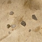 [댓글부탁해] 음식에서 이물질, 가게의 대응이 이게 맞는건가요 ㅠㅠ