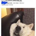 우리 스카에 140 <b>초반</b>대로 보이는