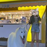 방탄 전성기 다시오면좋겠다