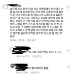 [댓글부탁해] 너네 이 댓글 어떻게 생각함 내가틀린거니