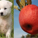 [댓글부탁해] 마스크걸 아쉬웠던 거