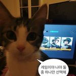 야 애들아 이틀<b>연속</b>으로
