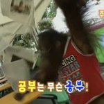 경영학과 선택과목 경제?