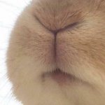 [<b>TXT</b>] 철회해