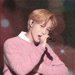 [댓글부탁해] <b>젭알</b>제발 내 남자취향 소나무임?