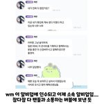 이채연 헤메코 <b>사비</b>로 했대