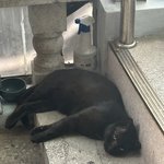 [댓글부탁해] <b>중학교</b> 갈<b>때</b> 꿀팁 알려주세요