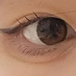 쌍수해본애들아 ㅈㅂ ㅠㅠ