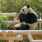 7년째 차기작 없는 배우