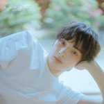 [TXT] <b>요정</b>