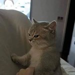 내<b>성질</b> 많이 참아가며