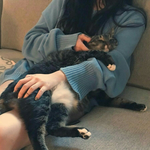 맞팔 아닌데 인<b>스스</b> 보는 알바 매니저님