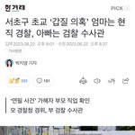 서이초 ‘갑질’엄마는 <b>본청</b> 경찰, 아빠는 검찰수사관