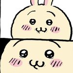 ㅈㄴ 예<b>민충</b> 특