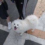 얘드라 니네남친 보면 뺏을까봐 겁나잖아