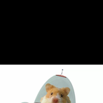 [댓글부탁해] 블랙<b>미러</b> 재밌는 화 추천해줘