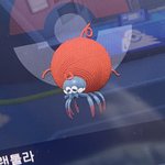 [드루와] <b>포켓몬</b> 이로치 떳는데