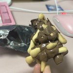 아니 님들아 초코<b>송이</b>가 아니라 초코나무잖아이건