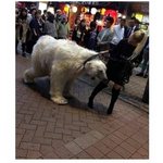 아 독서실 잼<b>민이</b>들 개빡치네