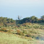 [라이즈] 오늘 올라온 사진들