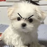 [드루와] 내일은 덩생이랑 데이또~~
