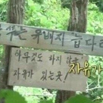 어느 자연인의 레전드 <b>음식</b>