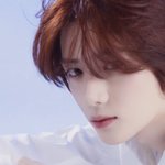 [TXT] <b>클리</b>오범규