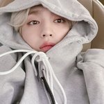 세븐틴 활동이 끝나면 본인 연예계 생활도 마무리 될 것 같다는 세븐틴...