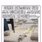 왔냐옹?