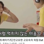 [스키즈] 테이들