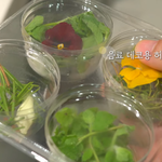 퀄리티 쩌는 이번주 <b>실비</b>집 요리