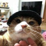 [스키즈] <b>소셜</b>패스 진짜ㄹㅈㄷ