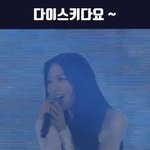 [드루와] ㄹㅇ 지젤 개미쳤다 이건 안보면 손해다