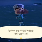 얘들아 나 <b>동숲</b> 물고기 다 잡았어