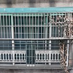 [이것좀봐줘] 저희집 바로 앞 <b>빌라</b>에서 키우는 개짖는소리 때문에...