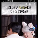 [스키즈] 아니 5스타 <b>트래</b>일러