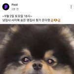 [군대] 티롱이 픽<b>시드</b> 나온다