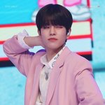 우리집모르는개 스키즈 <b>김승민</b> 짤털함