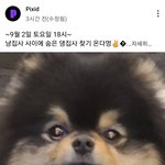 뭐야 방탄 뷔 픽<b>시드</b> 나오네?