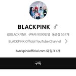 [드루와] K-POP 아이돌 유튜브 구독자수 <b>TOP</b>5 - 블핑 방탄