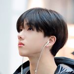 이정도면 코 높지 않음?