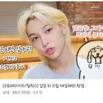 [스키즈] 애기테이들 이거 봄?