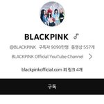 방탄은 블핑 유툽 규독자수나 이기고 나대라