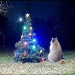 얘드라 내 피부 변화 볼래