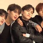 세븐틴 힙합<b>팀</b>/<b>보컬팀</b>/퍼포<b>팀</b>