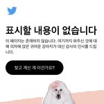 트위터 이거 왜<b>이래</b>...?