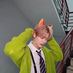 연준이 <b>인가</b> 지금까지중에 오늘이 ㄹㅈㄷ