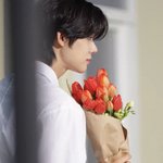 [TXT] 연준이 귀여운 <b>동물</b>만